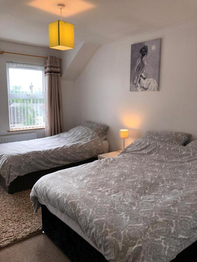 Glendona Lodge Glenavy エクステリア 写真